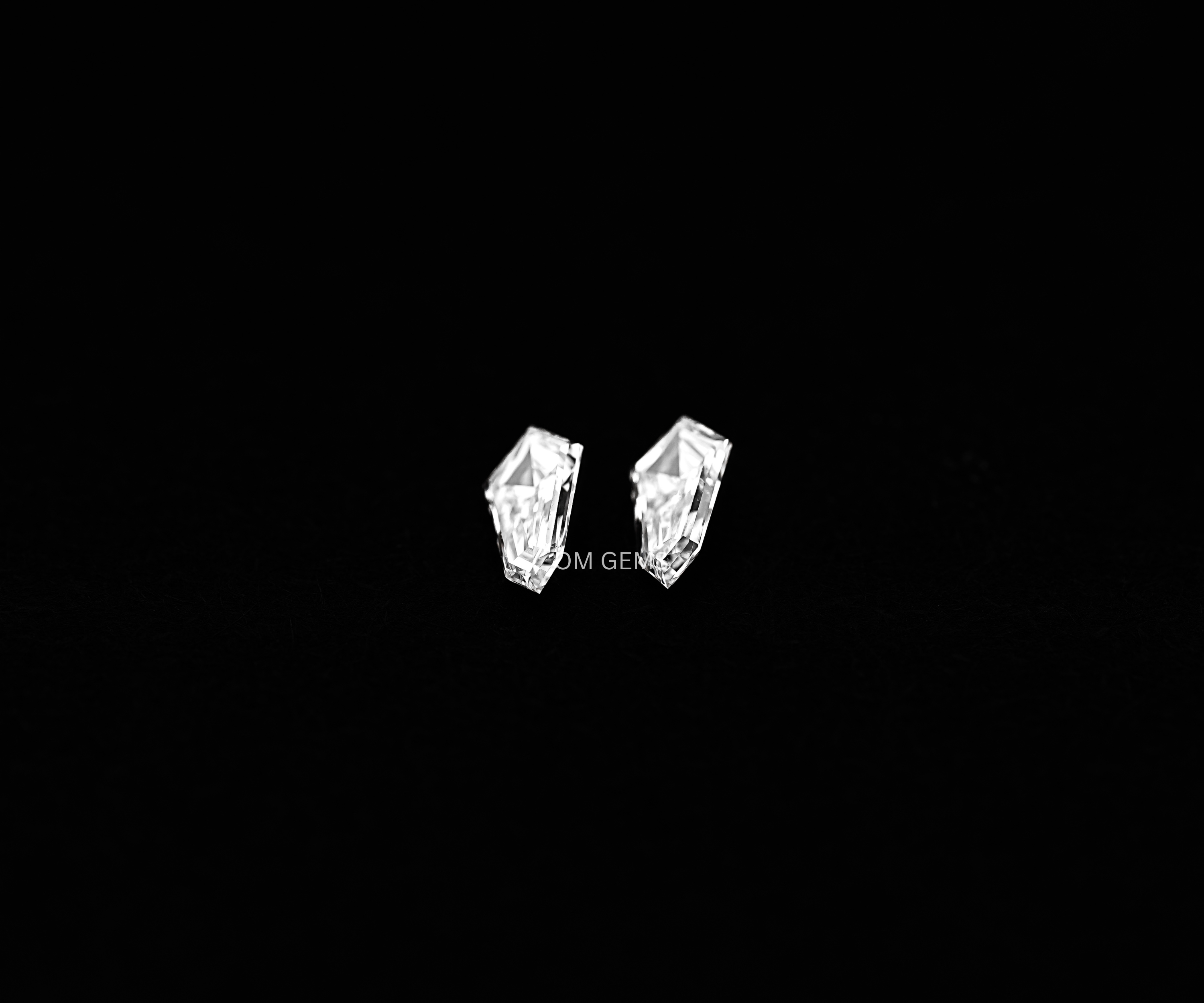 Shield Cut Lab Grown Diamond Matching Pair