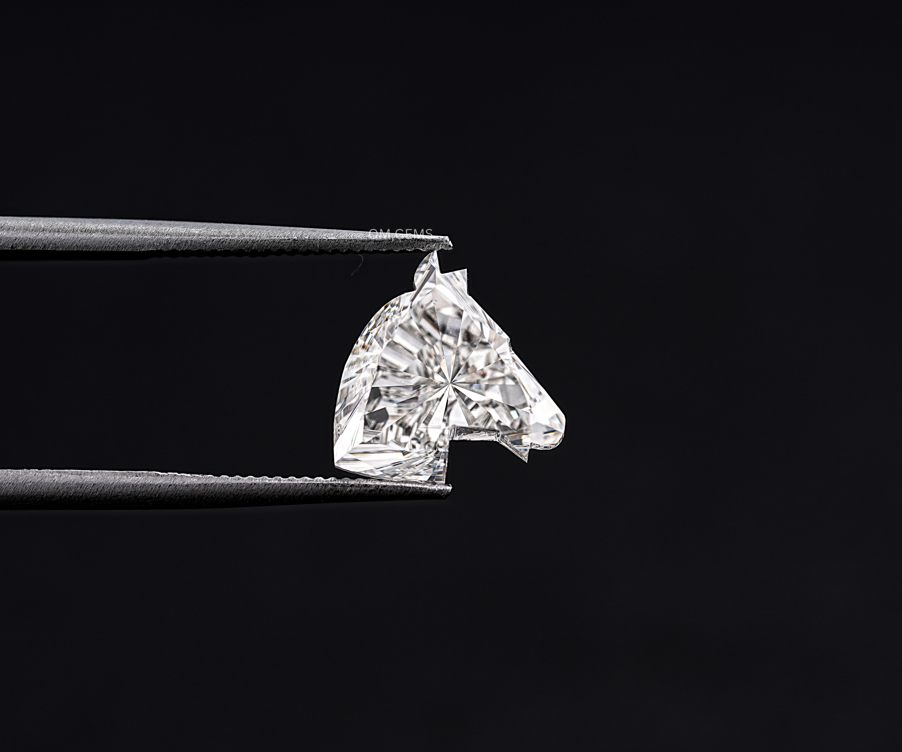 Horse Face Lab Grown Diamond
