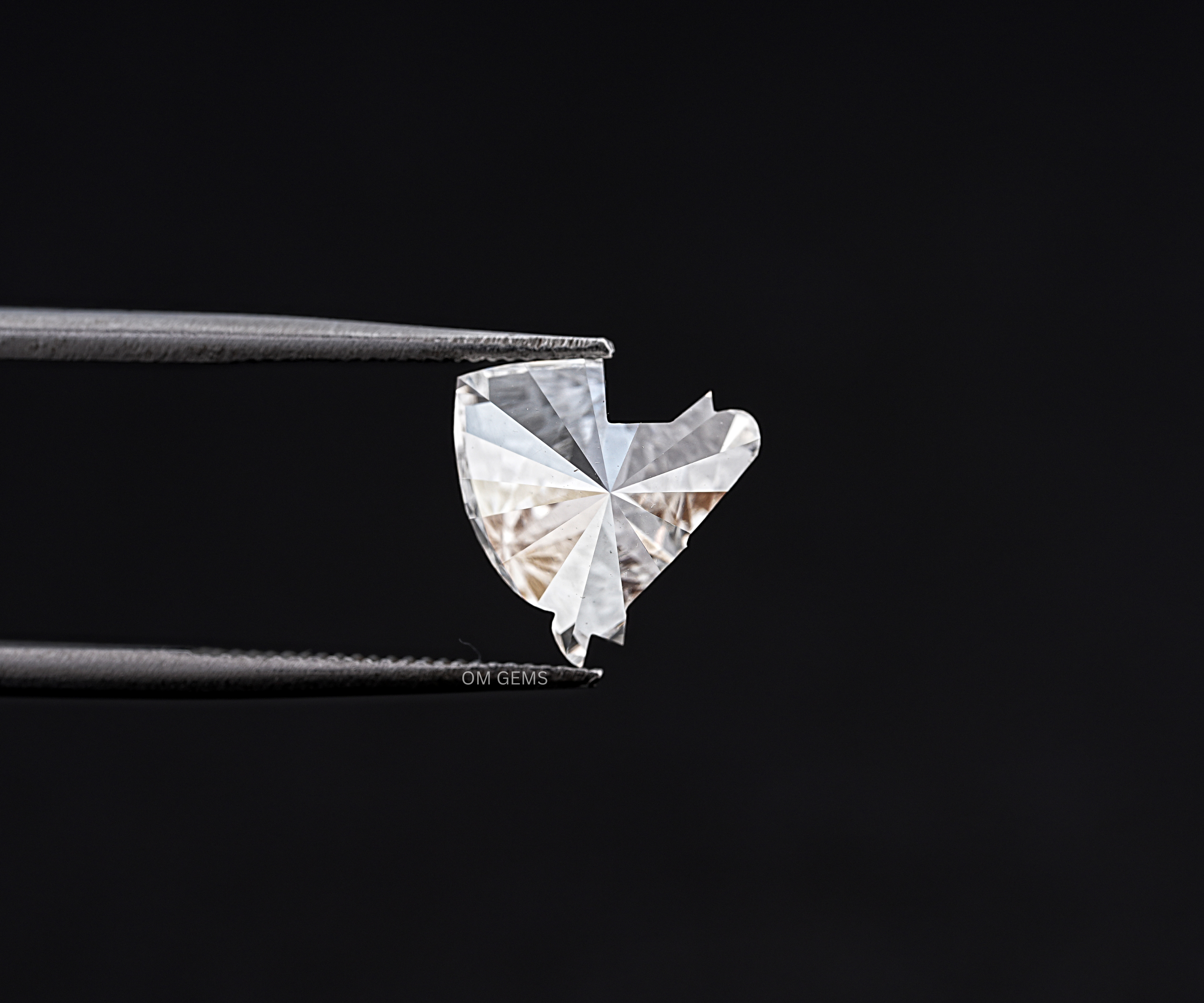 Horse Head Lab Grown Diamond