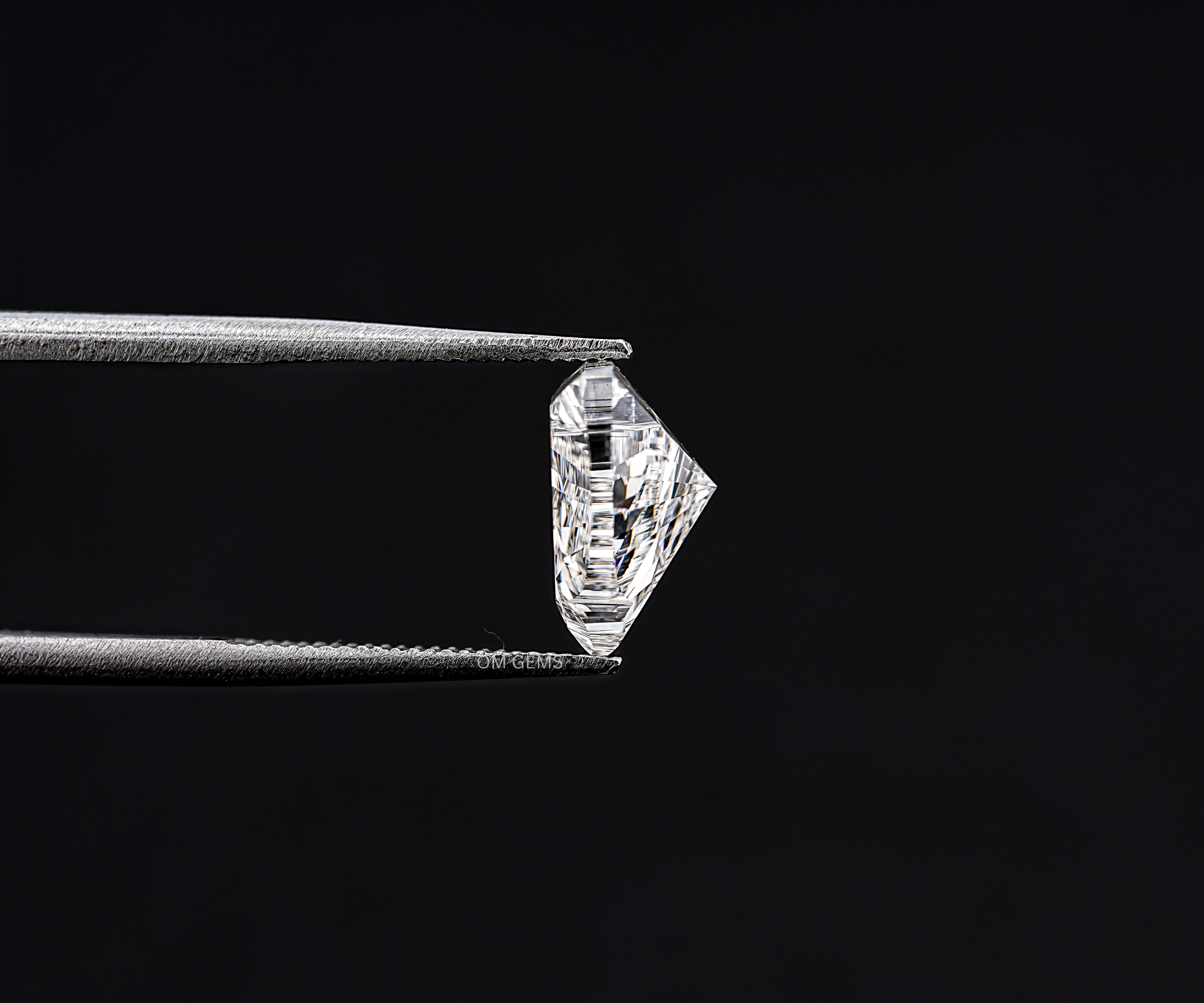 Lab Grown Horse Head Diamond