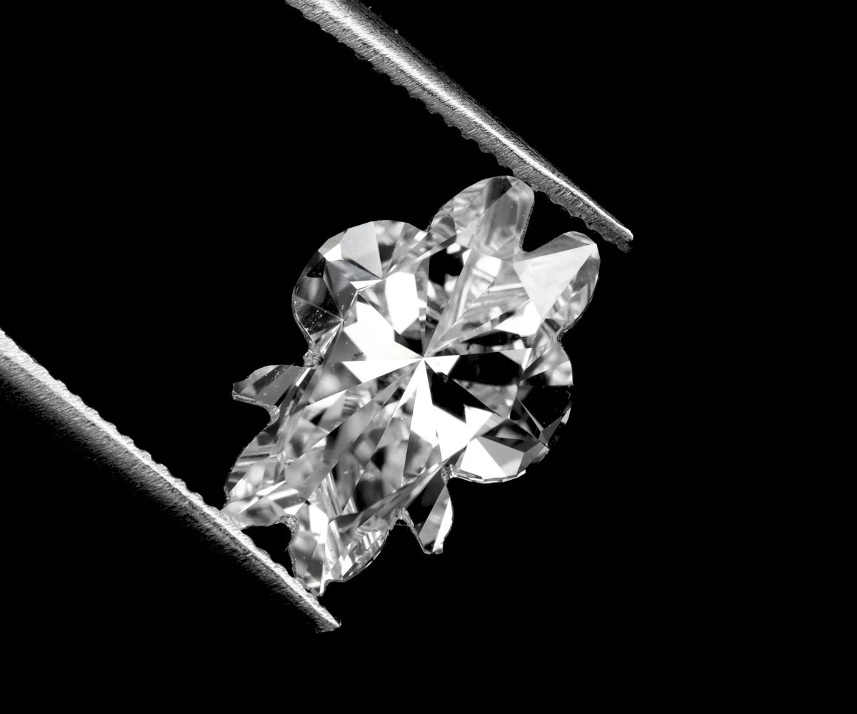 Teddy Cartoon Full Cut Lab Grown Unique Loose Diamond